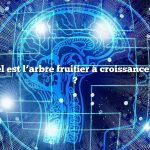 Question : Quel est l’arbre fruitier à croissance la plus rapide ?
